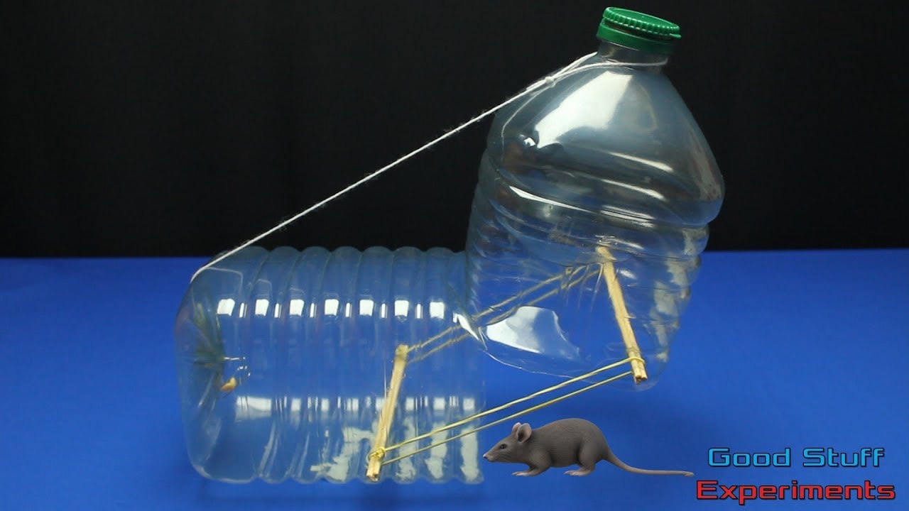 How To Make A Water Bottle Mouse Rat Trap Easy DIY YouTube