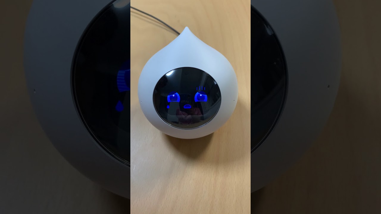 自律型会話ロボット「Romi(ロミィ)」との暮らしをレビュー！楽しい会話