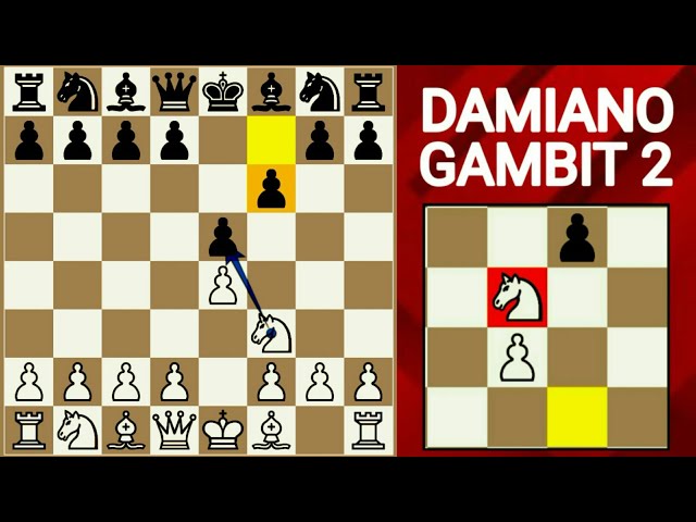 Gambit paling berani ! Baru mulai sudah korban kuda | Catur Gila class=