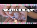 Зачем кольцевать птенцов? Кольцевание - прихоть или необходимость?