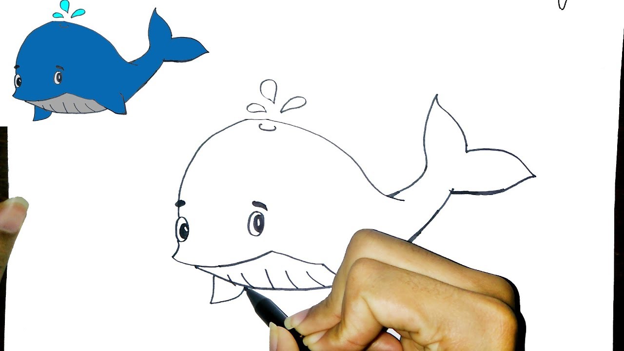 Cara Menggambar Ikan Paus Lucu How To Draw A Cute Whale Youtube