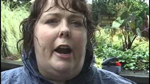 Debra - I Got Better