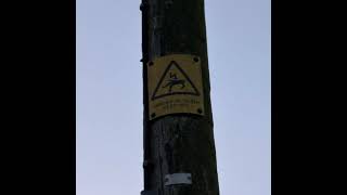 jcole freestyle remix