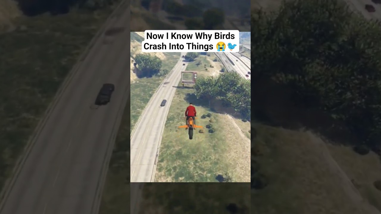I Understand the Pain of Birds Now 🐦😭 