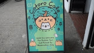 VISITING VANCOUVER'S CATORO CAT CAFÉ