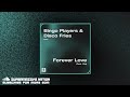 Bingo Players Disco Fries Ft Viiq Forever Love mp3