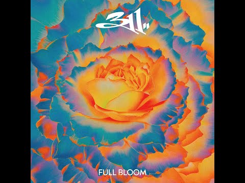 311 - Braver