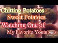Sweet potatoes chitting potatoes watching mays homestead chronicles sweetpotatoes garden