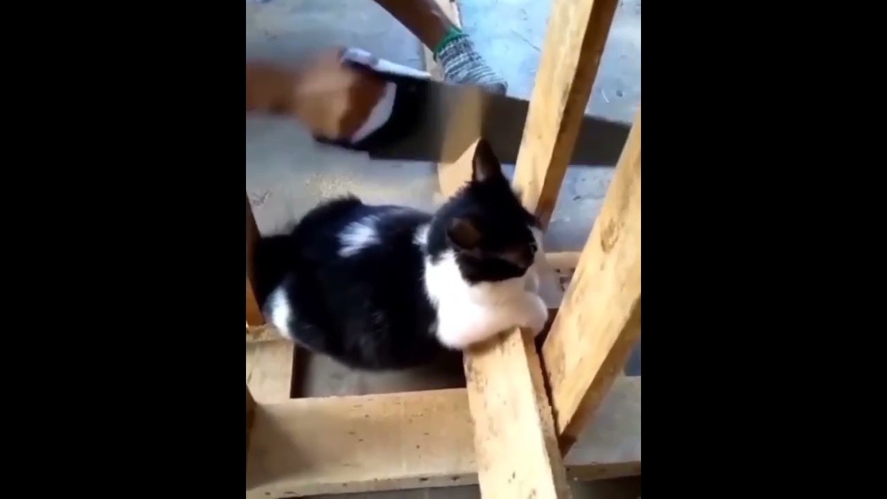 Помощник - строитель