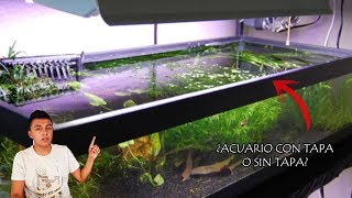 Adoración segundo Suburbio ACUARIO con TAPA o SIN TAPA? | ¿Que nos conviene más? | AcuariosLP - YouTube