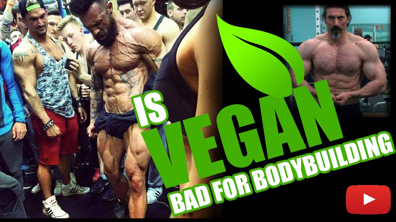 Is Veganism bad for bodybuilding. Truth and lies. YouTube