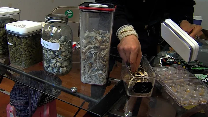 Growing support for legalizing "magic mushrooms" i...