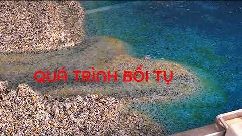 QUÁ TRÌNH BỒI TỤ