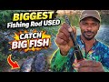 Biggest Fishing rod 🤩 Easy to use and catch fish #fishing #fishingrod #hookfishing
