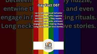 067- Male Giraffes Prefer Each Otherlike, A Lot-Mind Blowing Lgbtq Facts You Need To Know