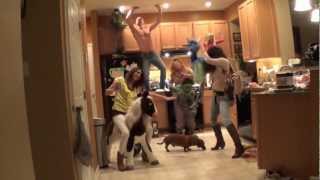 LP Best Harlem Shake Hulk