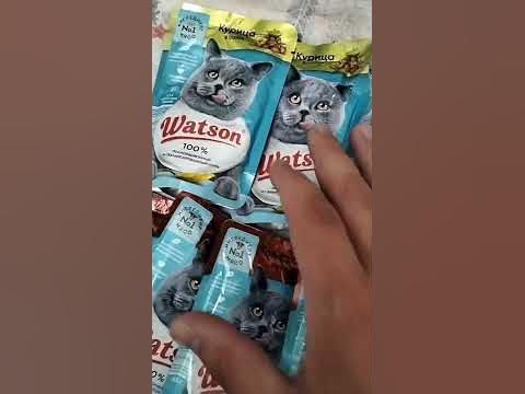 КУПИЛ КОРМ ДЛЯ КОШЕК WATSON, МАГАЗИН ЧИЖИК - YouTube