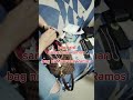 bag raid LV