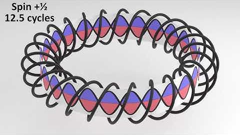Demonstration of Spin 1/2 for an Electron Wavefunction