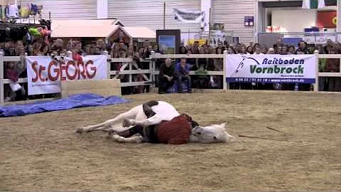 Equitana