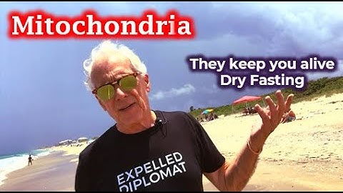 Mitochondria keep you alive during Dry Fasting #life #livetipsandtricks #dryfasting