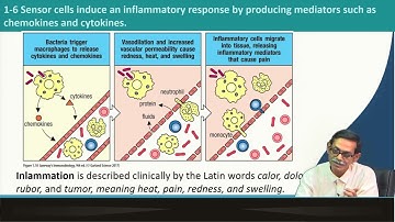 Lecture 02: Basic Concepts in Immunology ( Contd. ) #swayamprabha #CH31SP