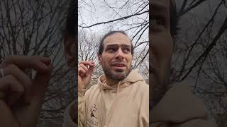 #belgique #cimetière #tombes #taphophile #métiers #funeraire #funérailles