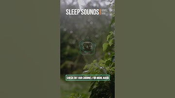 Thumbnail of Gentle rain for Sleep #shorts