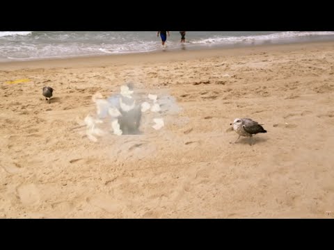 EXPLODING SEAGULL - CGI VFX