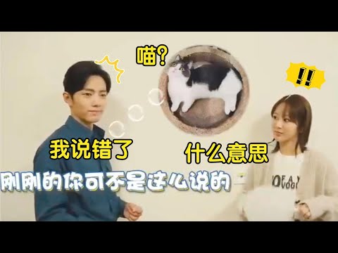 肖戰採訪討好楊紫自爆：喜歡狗，但貓好養，發現跟楊紫愛好不同立馬改口！楊紫直言男人的嘴騙人的鬼，尷尬啦！