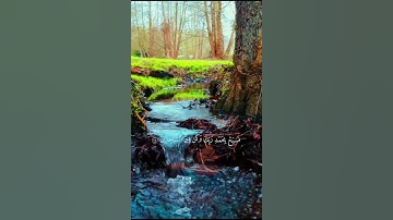 📖 تلاوة عطرة تهز القلوب وتدمع العيون🌹 قرآن يريح القلب ويشرح الصدر #راحة_نفسية
