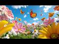 Vídeo a cámara rápida de la floración de las flores | Música relajante de la naturaleza para sanar