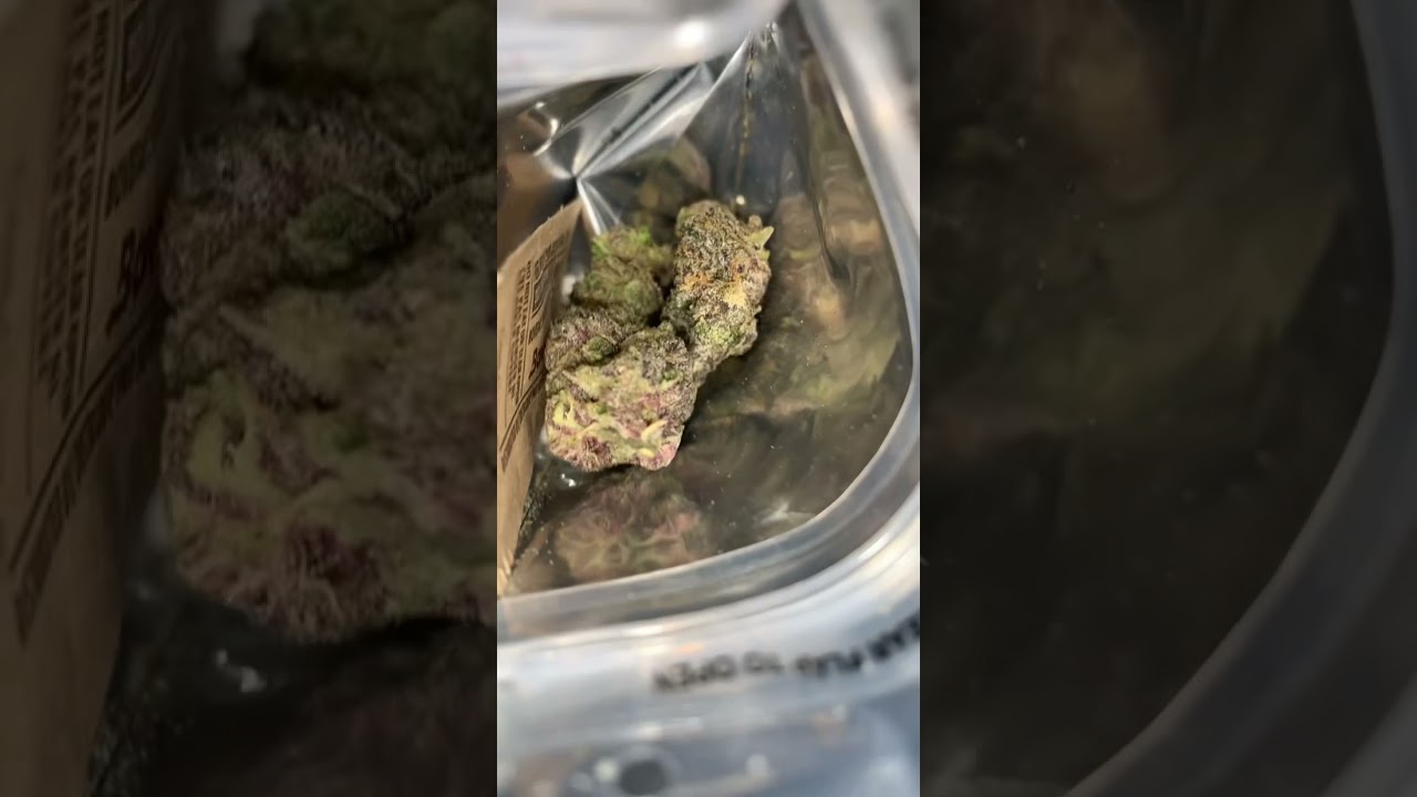 Seven Leaves ( BLUE SLUSH )