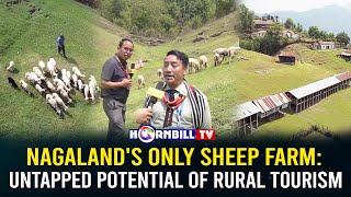 NAGALAND'S ONLY SHEEP FARM: UNTAPPED POTENTIAL OF RURAL TOURISM