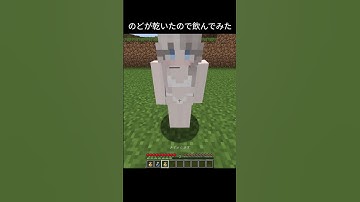何を飲んでるの？#マイクラ #マインクラフト #minecraft #女の子