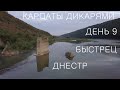 Путешествие в Карпаты дикарями 2020: ДЕНЬ 9 / Быстрец / Днестр