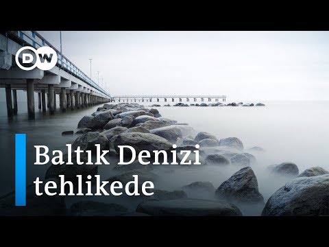 Video: Gdansk Körfezi ve B altık Spit