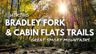 HIKING BRADLEY FORK, CABIN FLATS TRAILS, & CAMPSITE 49 | GREAT SMOKY MOUNTAINS - EP3 by JBENHIKES 707 views 5 months ago 19 minutes