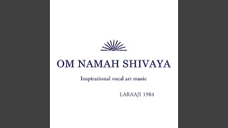 Video thumbnail of "Laraaji - Om Namah Shivaya Pt. 1"