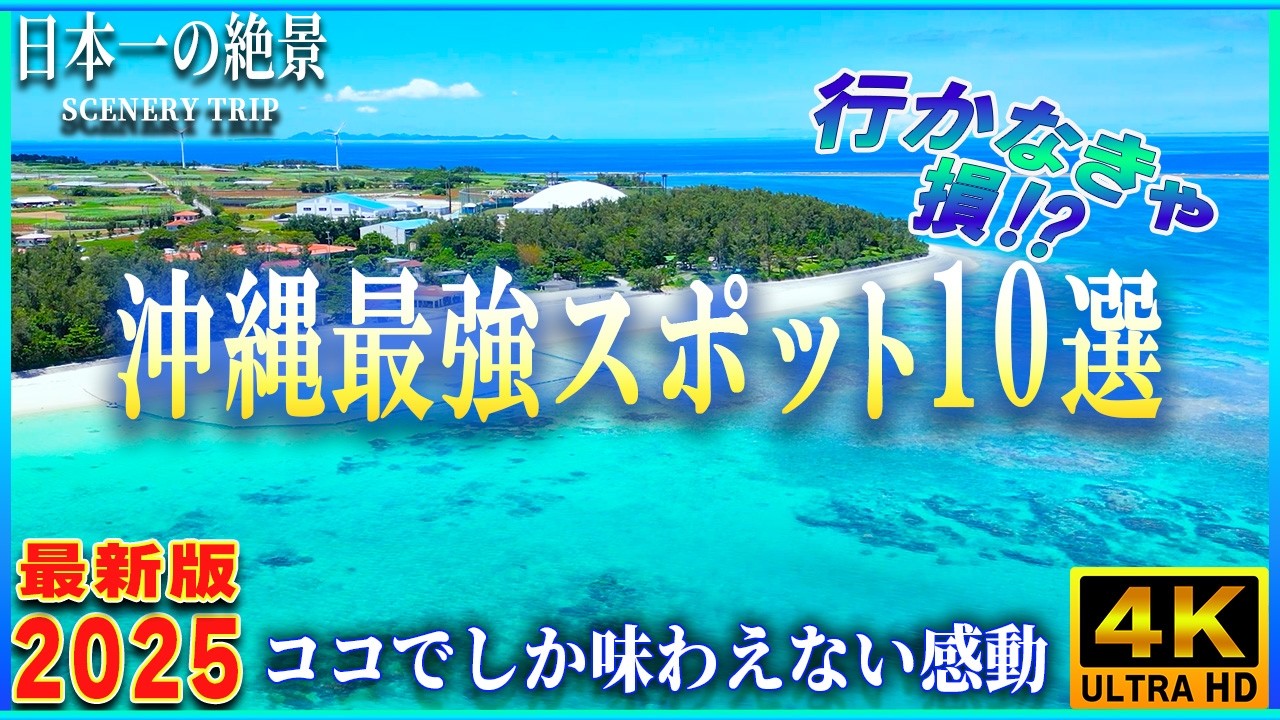 非常に良い】沖縄 (ニューガイド私の日本 30) 【公式通販】