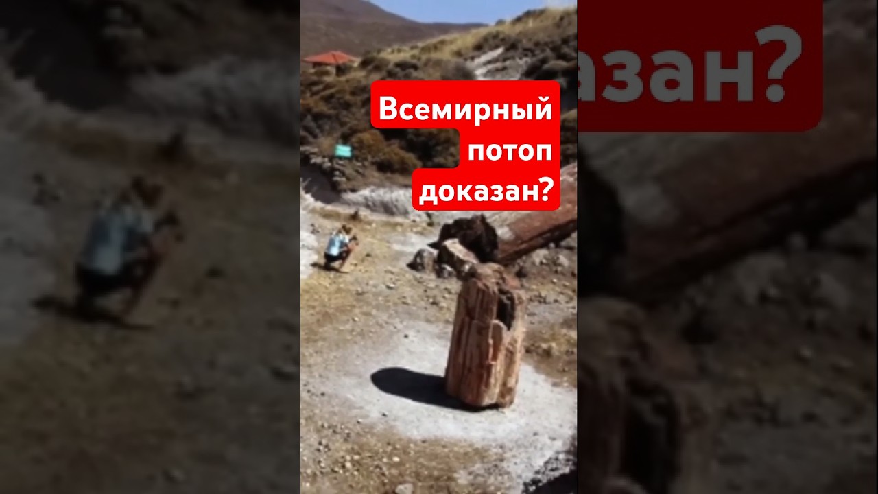 Свидетельства Всемирного потопа?