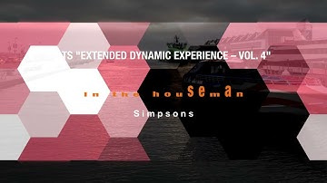 STS "Extended Dynamic Experience 4" - In the houseman