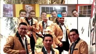 Simba musical - Oasis de amor