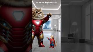 Iron Cat Vs Spidey Cat Crunch Time
