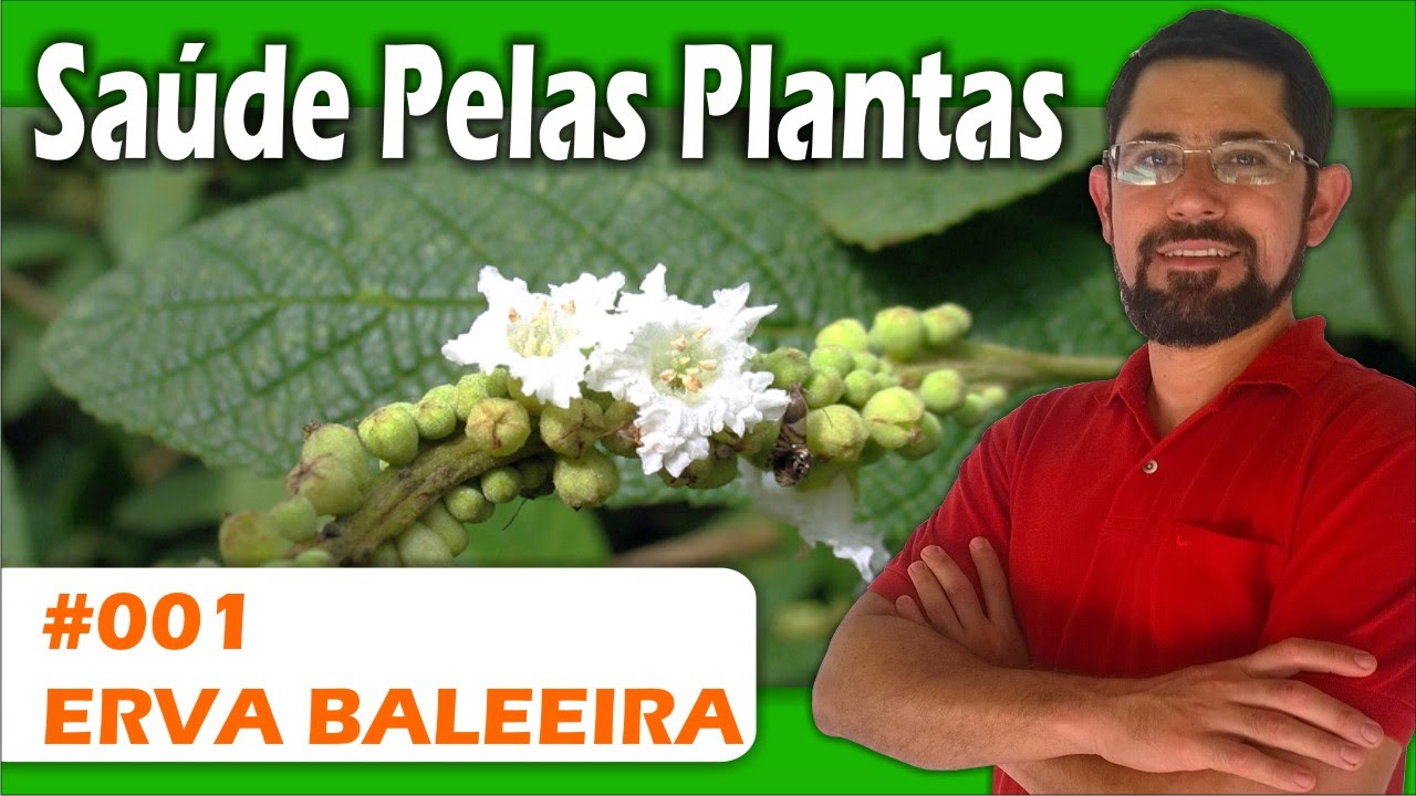 Pin Em Ervas Medicinais Videos