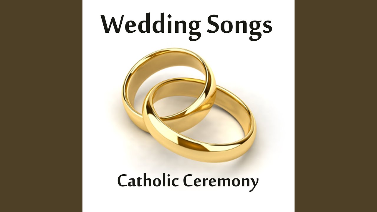 Свадебные кольца картинки на прозрачном фоне