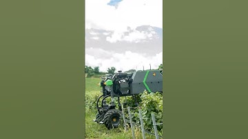 Revolutionizing Agriculture: Meet the Future - Autonomous Vineyard Robot Mowers!