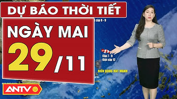 Dự báo thời tiết mới nhất ngày mai 29/11: Bắc Bộ nắng khô, Trung Bộ Trời rét | ANTV