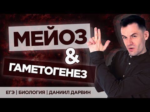 Мейоз | ЕГЭ Биология | Даниил Дарвин