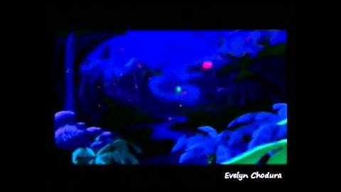 Rayman 1 [PS1|PAL] ~ End Cutscene (Française/French/Französisch)